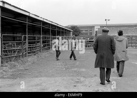 workers farmers and staff at the now defunct cattle market in rugby warwickshire england uk Stock Photo