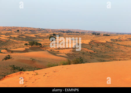 Rub' al Khali desert, United Arab Emirates Stock Photo