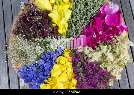 Blütenteller, Blüten, Blumen, Kräuter, Kräuter sammeln, Kräuterernte, Blütenblätter auf einem Teller sortiert zum Trocknen, essb Stock Photo