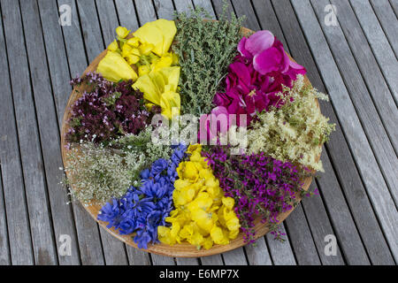 blossoms, flowers on a plate for drying, Blütenteller, Blüten, Blumen, Kräuter, Trocknen, essbare Blüten, bunt, Muster Stock Photo