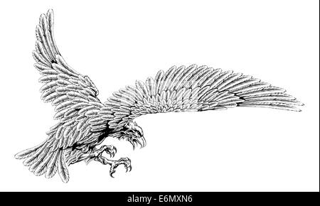 Original eagle illustration of an eagle swooping in for the kill in a vintage style Stock Photo