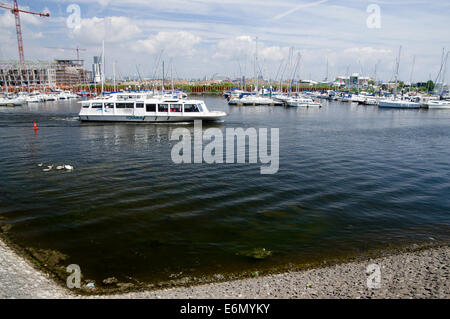 Swans and Yachts, River Ely, Cardiff Bay, South Wales, UK Stock Photo ...