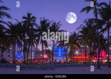 PALM TREES HOTELS OCEAN DRIVE SOUTH BEACH MIAMI BEACH FLORIDA USA Stock Photo