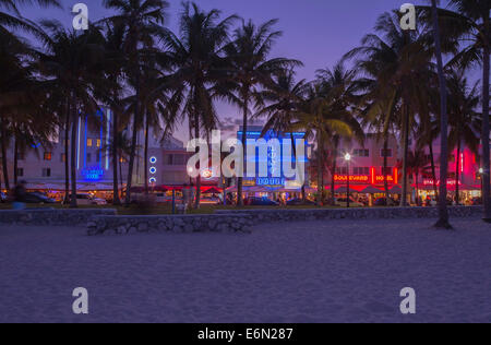 PALM TREES HOTELS OCEAN DRIVE SOUTH BEACH MIAMI BEACH FLORIDA USA Stock Photo