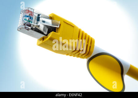 Cable with RJ-45 connector. Yellow color. Stock Photo
