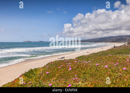 Half Moon Bay State Beach, San Mateo County, Calfornia, USA Stock Photo