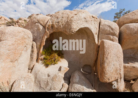 Unique gneiss rock formations displaying wind erosion - California USA Stock Photo