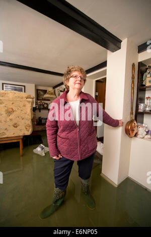 Flooding on the Somerset Levels - Margaret Lock who has been flooded out of her home in the village of Fordland Feb 2014 Stock Photo