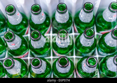 Crate of empty beer bottles Stock Photo