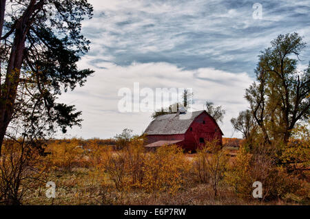 Kansas Red and White Barn with blue sky,white clouds, with tree's and ...