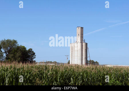 USA, Kansas. Grain elevators for storage Stock Photo