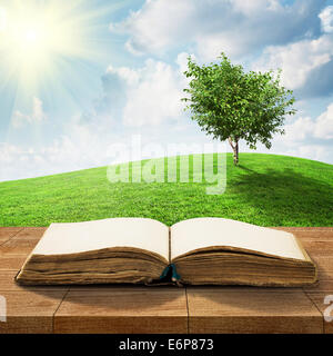 Open book on wooden table over beautiful meadow and sky Stock Photo