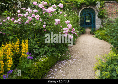 A border with pink roses beside the decorative wrought-iron gated entrance of the walled garden at Rousham House, Oxfordshire, England Stock Photo