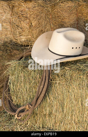 Still Life Cowboy Hat and Lariat on a Bale of Hay, Montana, USA Stock Photo