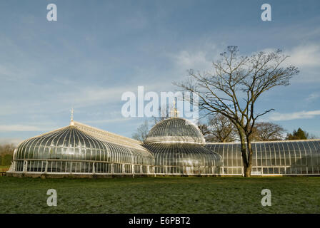 The Kibble Palace Glasgow Botanic Gardens. Stock Photo