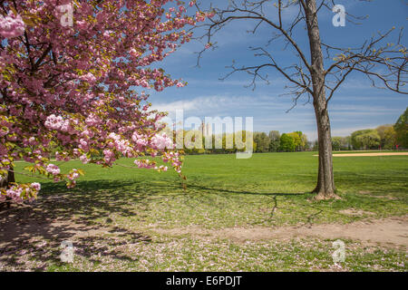 View over Central Park in New York City in May Stock Photo