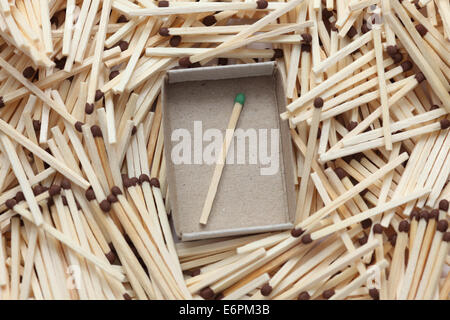 The green match has escaped. Green match in a matchbox surrounded with brown matches. Stock Photo