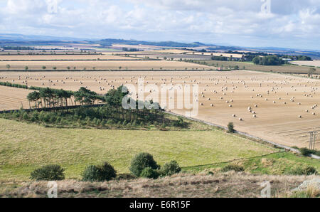 View of farmland in August from North Berwick Law, East Lothian, Scotland, Europe Stock Photo