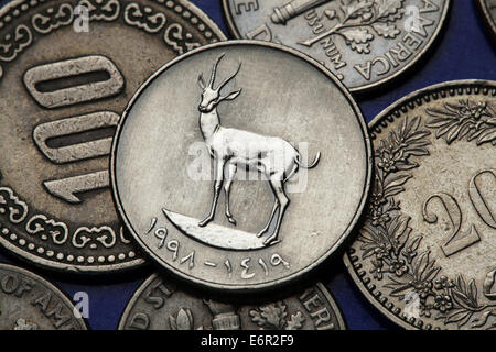 Coins of the United Arab Emirates. Sand Gazelle (Gazella subgutturosa marica) depicted in the UAE twenty five fils coin. Stock Photo