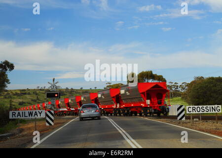 A car waits at a railway crossing as a freight train with grain bins crosses the road near Northam, Western Australia. Stock Photo