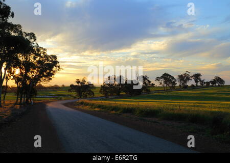 Dusk settles over the rural landscape and a curving road - near Northam, Western Australia. Stock Photo