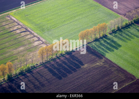 fields from above, damme, vechta district, oldenburger münsterland, lower saxony, germany Stock Photo