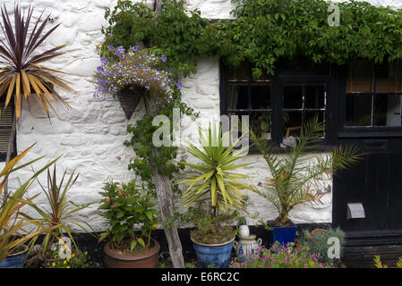 Porlock Weir, Somerset, England, UK. Cottage garden Stock Photo