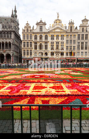 Flower carpet on the Grand place in Brussels, Belgium. Vertical Stock Photo
