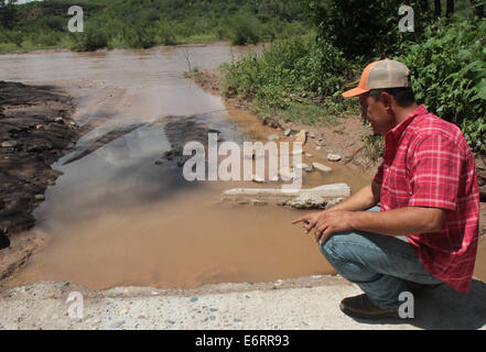 (140830) -- SONORA, Aug. 30, 2014 (Xinhua) -- Image taken on Aug. 20, 2014, shows a farmer pointing traces of toxic subtances in the Sonora River, after a toxic spill in the Sonora River, in Sonora, Mexico. According to the Federal Government, on Aug. 6, 2014, the largest environmental disaster in the mining industry in Mexico was recorded, when 40,000 cubic meters of copper sulfate were spilled into a damm of the miner property of Grupo Mexico, contaminating parts of the Tinajas creek, the Bacanuchi River and the Sonora River. According to a dictum of the Federal Government, the spill occured Stock Photo