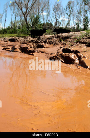 (140830) -- SONORA, Aug. 30, 2014 (Xinhua) -- Image taken on Aug. 12, 2014, shows the Sonora River affected after a toxic spill, in the Banamichi municipality, in Sonora, Mexico. According to the Federal Government, on August 6, 2014, the largest environmental disaster in the mining industry in Mexico was registred, when 40,000 cubic meters of copper sulfate were spilled into a damm of the miner property of Grupo Mexico, contaminating parts of the Tinajas creek, the Bacanuchi River and the Sonora River. According to a dictum of the Federal Government, the spill occured because of the failure o Stock Photo