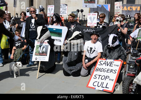 Badger Cull Protest, Royal Court, London, England. Stock Photo