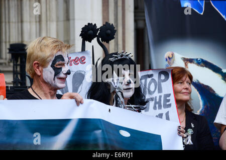 Badger Cull Protest, London, England. Stock Photo