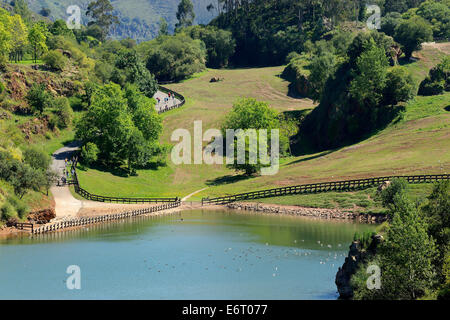 Lake with birds in the Natural Park of Cabarceno, Cantabria, Spain, Europe Stock Photo