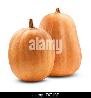 Big pumpkins on a white background. Clipping Path Stock Photo