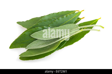 Laurel and sage leaves isolated on white Stock Photo