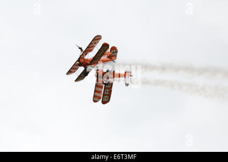 AeroSuperBatics Wingwalkers present the Breitling Wingwalkers Display Team performing at the Shoreham Airshow 2014. 30th August 2014 Stock Photo