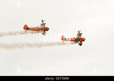 AeroSuperBatics Wingwalkers present the Breitling Wingwalkers Display Team performing at the Shoreham Airshow 2014. 30th August 2014 Stock Photo