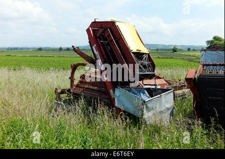 Old agricultural equipment and horticulture fields in background Stock Photo