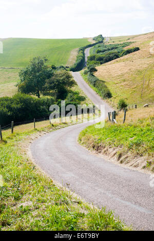 Narrow winding country road passing through countryside near Abbotsbury, Dorset, England Stock Photo