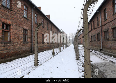 Residential barracks at the Auschwitz-Birkenau Memorial to the Nazi holocaust in Poland Stock Photo