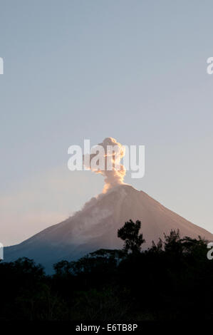 Plume erupting from Volcan El Feugo/ de Colima a  volcano in Mexico Stock Photo