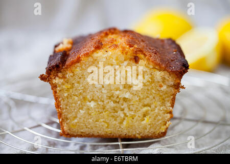 Lemon cake Stock Photo