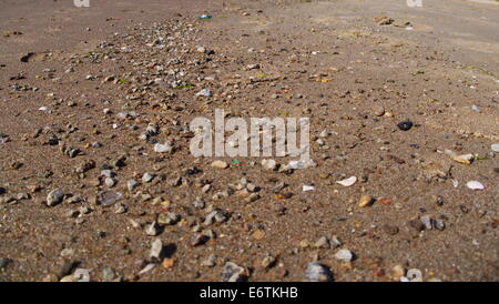Baltic Beach sand close up, small stones Stock Photo