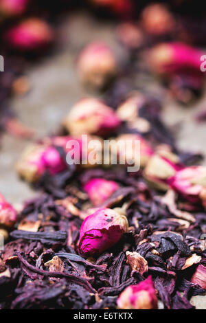 Tea roses and dried hibiscus flower Stock Photo