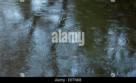 Rain drops rippling in a puddle with blue sky and trees reflection Stock Photo