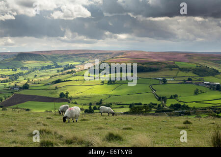 Fryup Dale from Oakley Walls near Danby on the North Yorkshire Moors Stock Photo