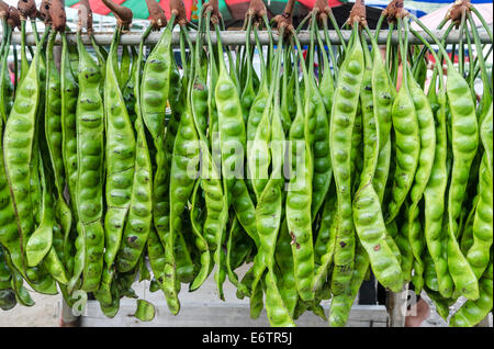 Stink bean pods hanging from a pole at a vendors stall in the Kata Fresh Market,  Kata, Phuket, Thailand Stock Photo