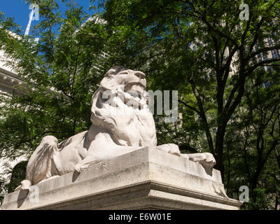 Lion Statue, New York Public Library, Main Branch, NYC Stock Photo