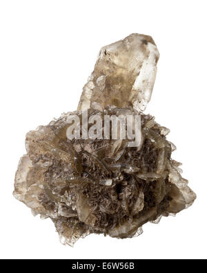 decoration,rose des sables,decorative item,white background,gypsum crystals  Stock Photo - Alamy