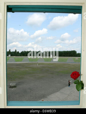 (140901) -- FRANKFURT (GERMANY), Sept. 1, 2014 (Xinhua) -- The former Sachsenhausen Nazi concentration camp is seen through a window of tower A in Oranienburg, near Berlin, Germany, on Aug. 21, 2014. The Sachsenhausen Nazi concentration camp was built in Oranienburg about 35 km north of Berlin in 1936 and imprisoned about 220,000 people between 1936 and 1945. The site now served as a memorial and museum to learn about the history within the authentic surroundings, including the remnants of buildings and other relics of the camp. (Xinhua/Luo Huanhuan) Stock Photo